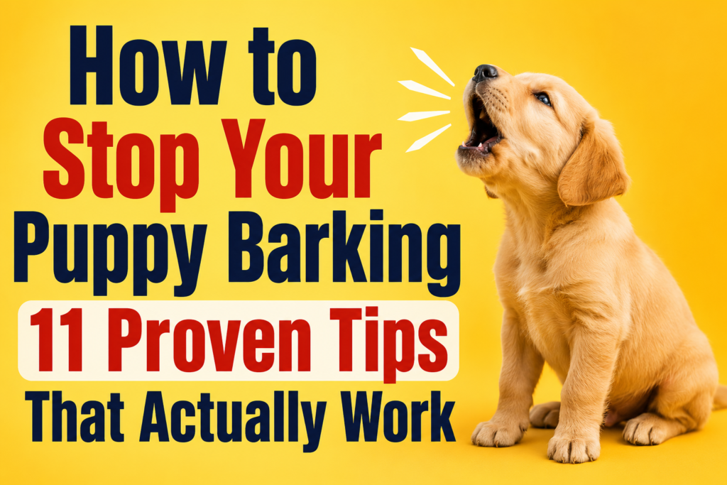 How to Stop Your Puppy Barking