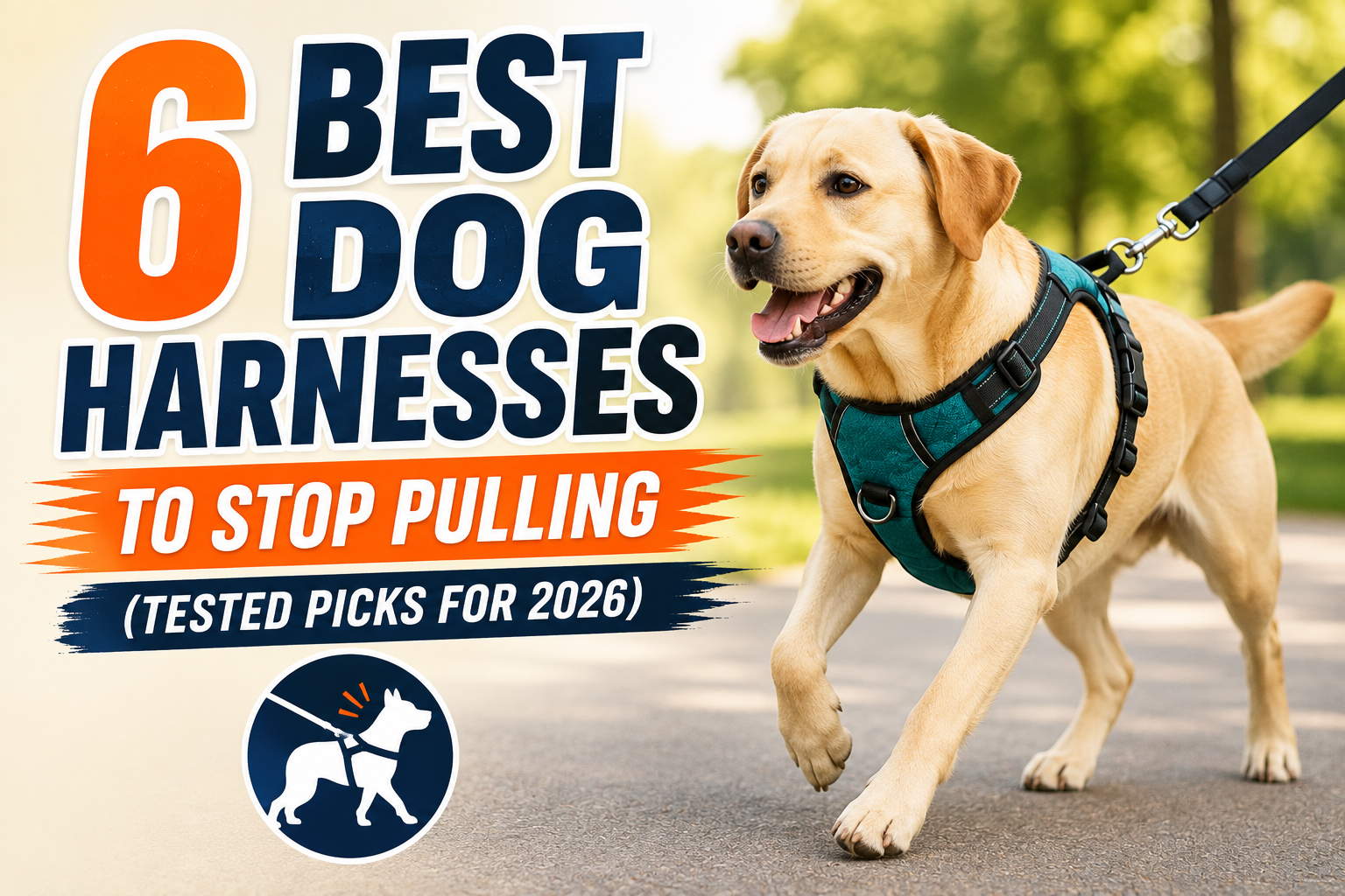 Best Dog Harnesses To Stop Pulling