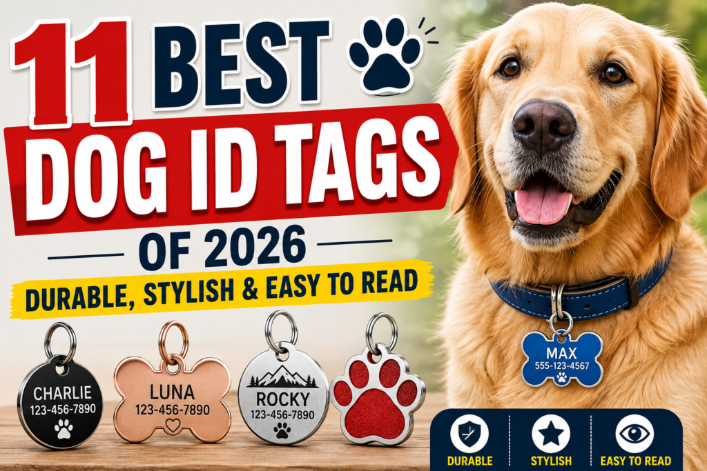 11 Best Dog ID Tags
