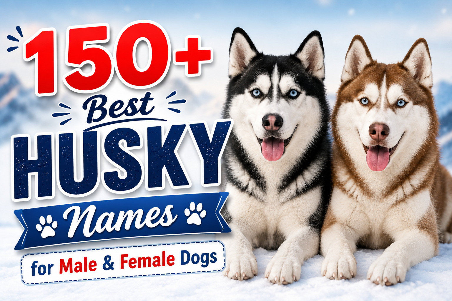 Best Husky Names
